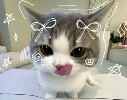 50964dd2dde0828247aaf26f697f93aa